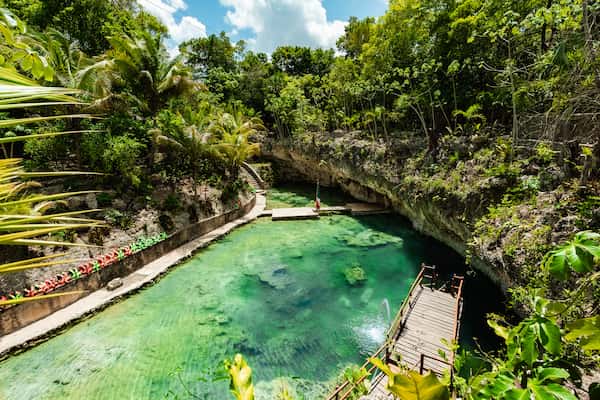 Cenote swim experience